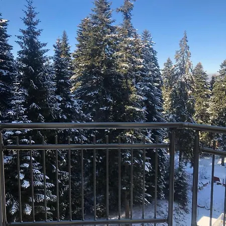 Apartment Flora 612a