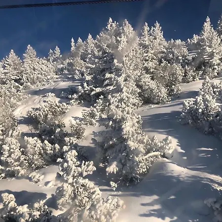 Apartment Flora 612a