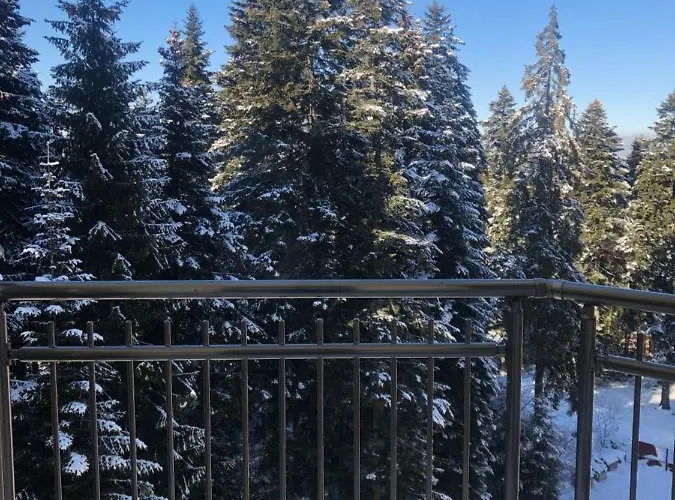 Appartement Flora 612a