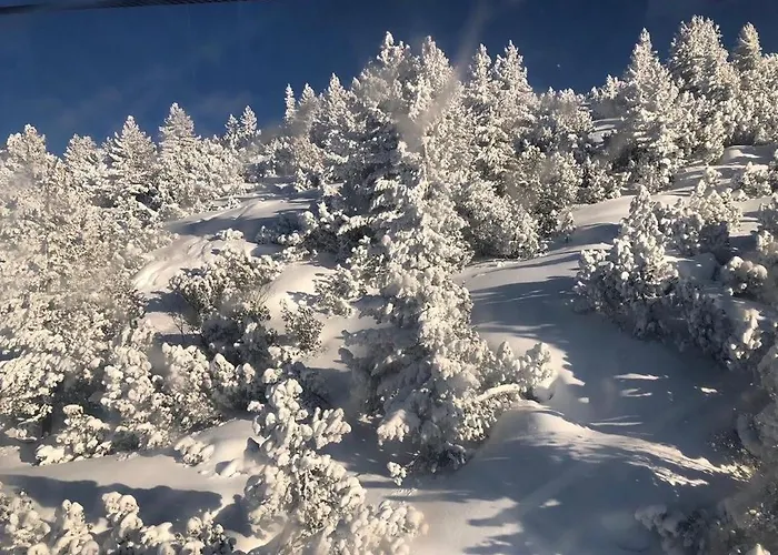 Appartement Flora 612a